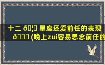 十二 🦆 星座还爱前任的表现 🐋 (晚上zui
容易思念前任的星座)